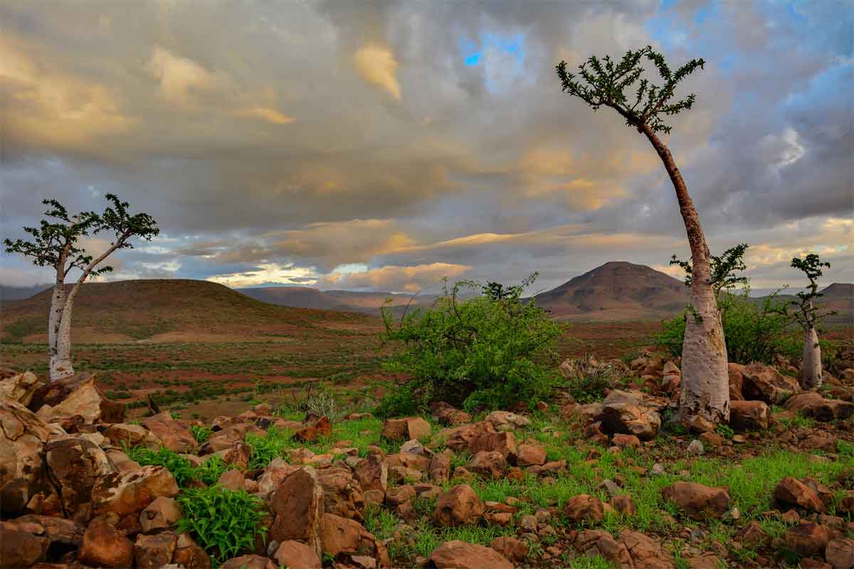 Namibia Safari-Damaraland