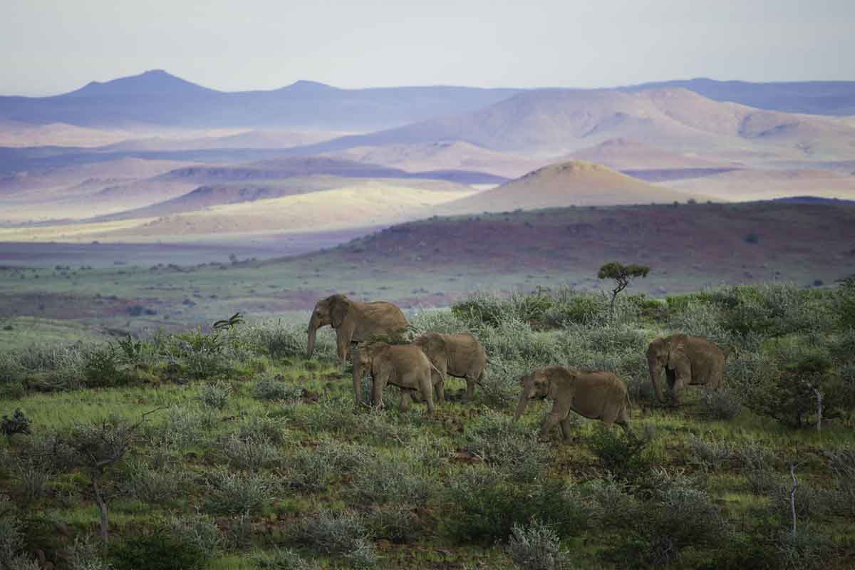 Namibia Safari-Damaraland