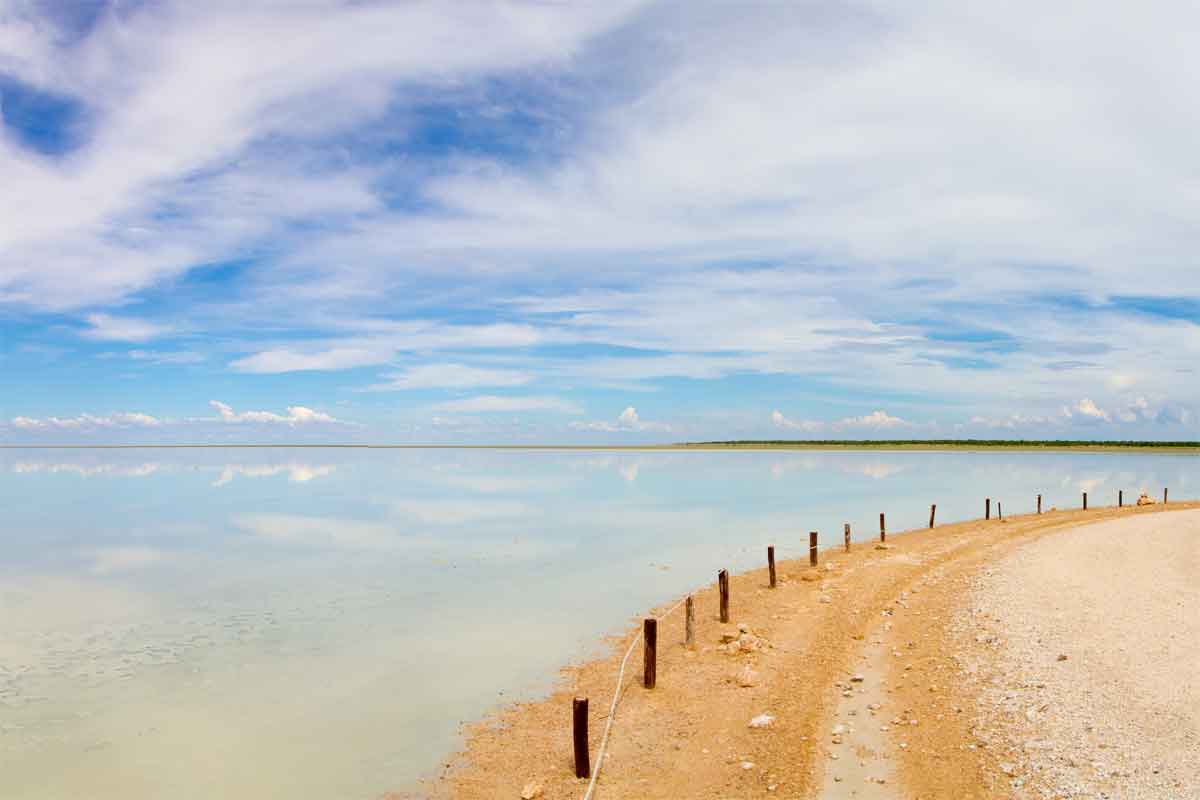 Namibia Safari-Etosha Safaris 