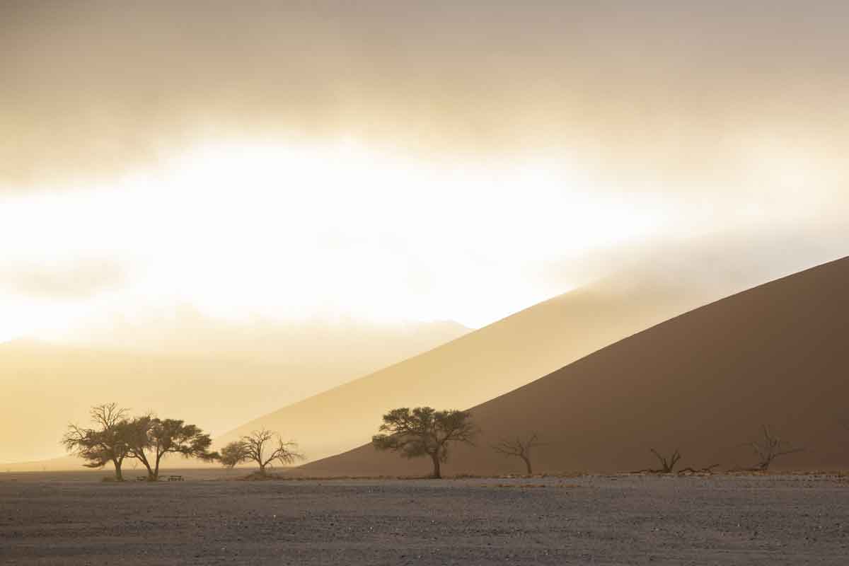 Namibia Safari-Sossusvlei