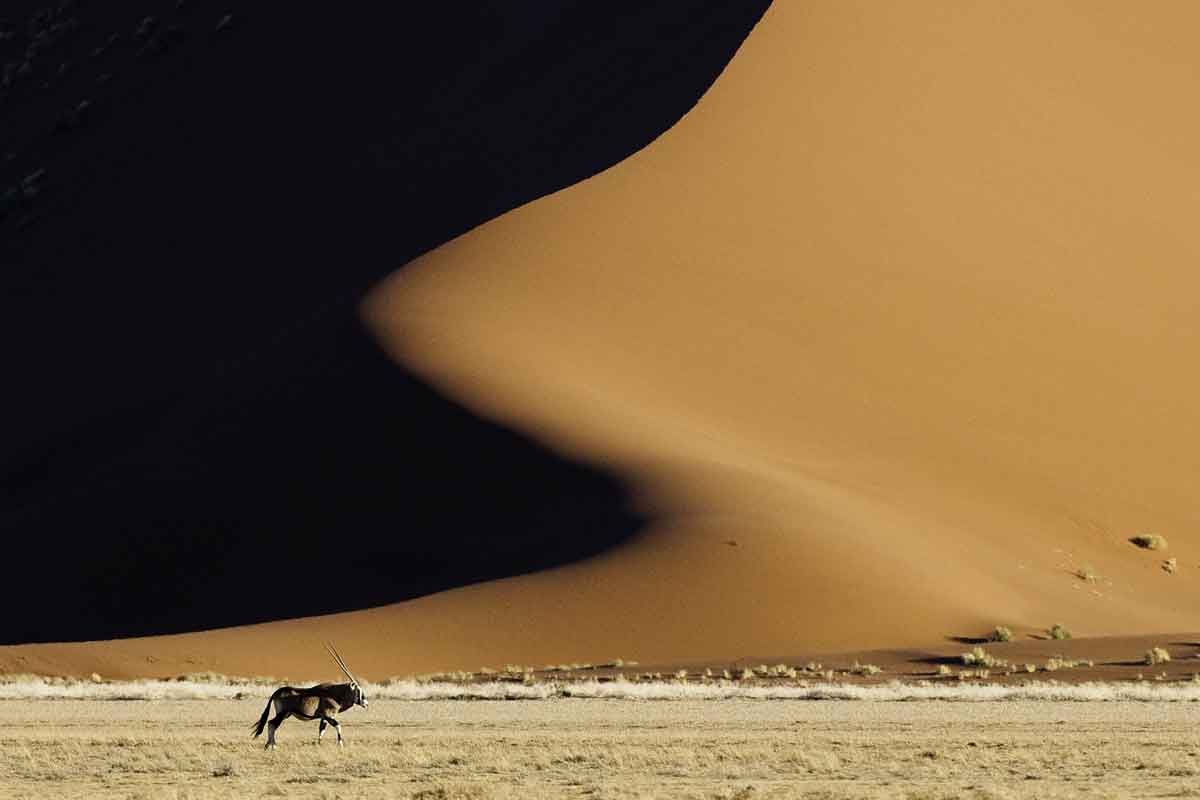 Namibia Safari-Sossusvlei