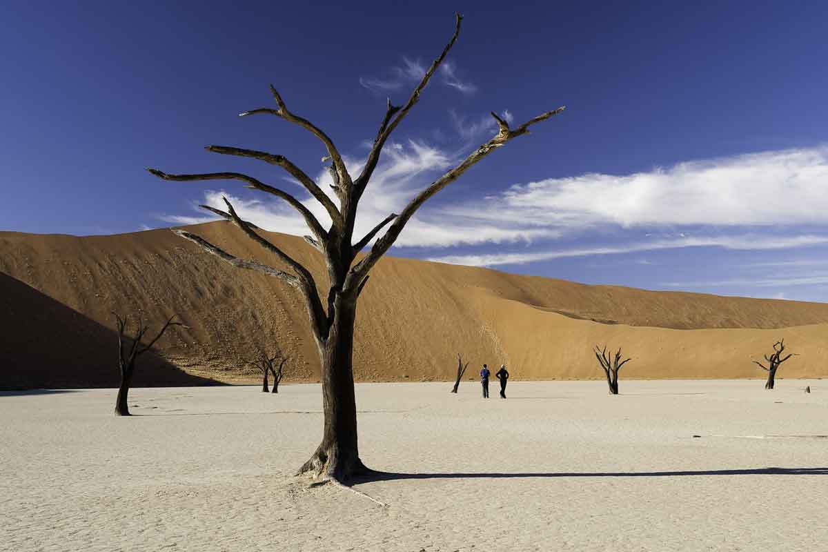 Namibia Safari-Sossusvlei