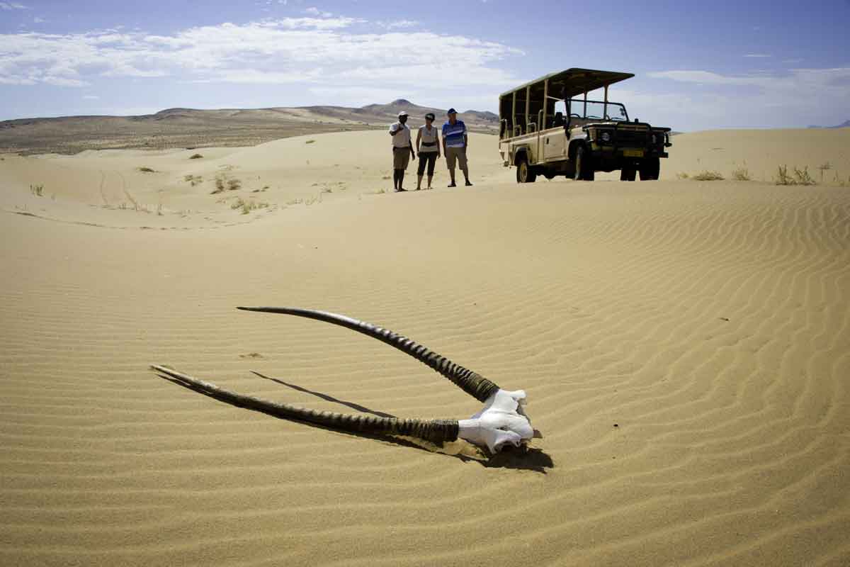 Namibia Safaris-Kunene