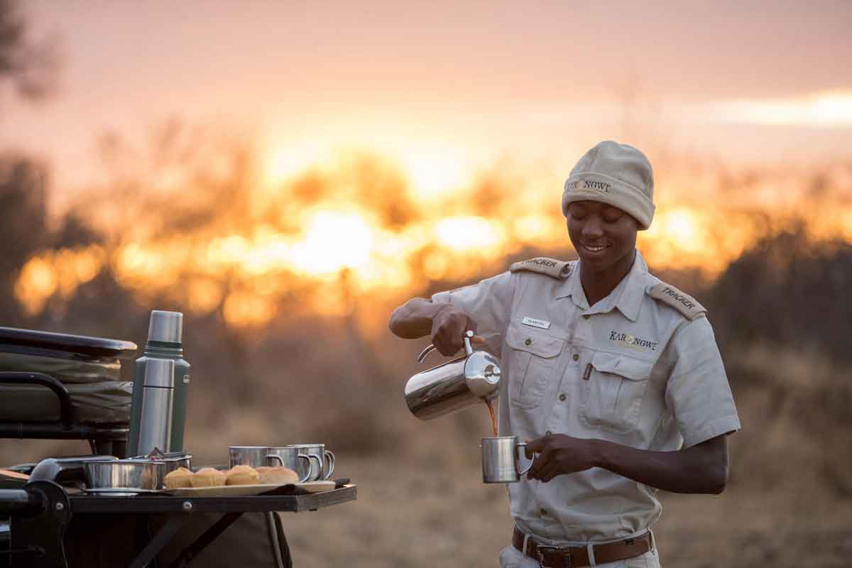 Top 5 Karongwe Safari Lodges