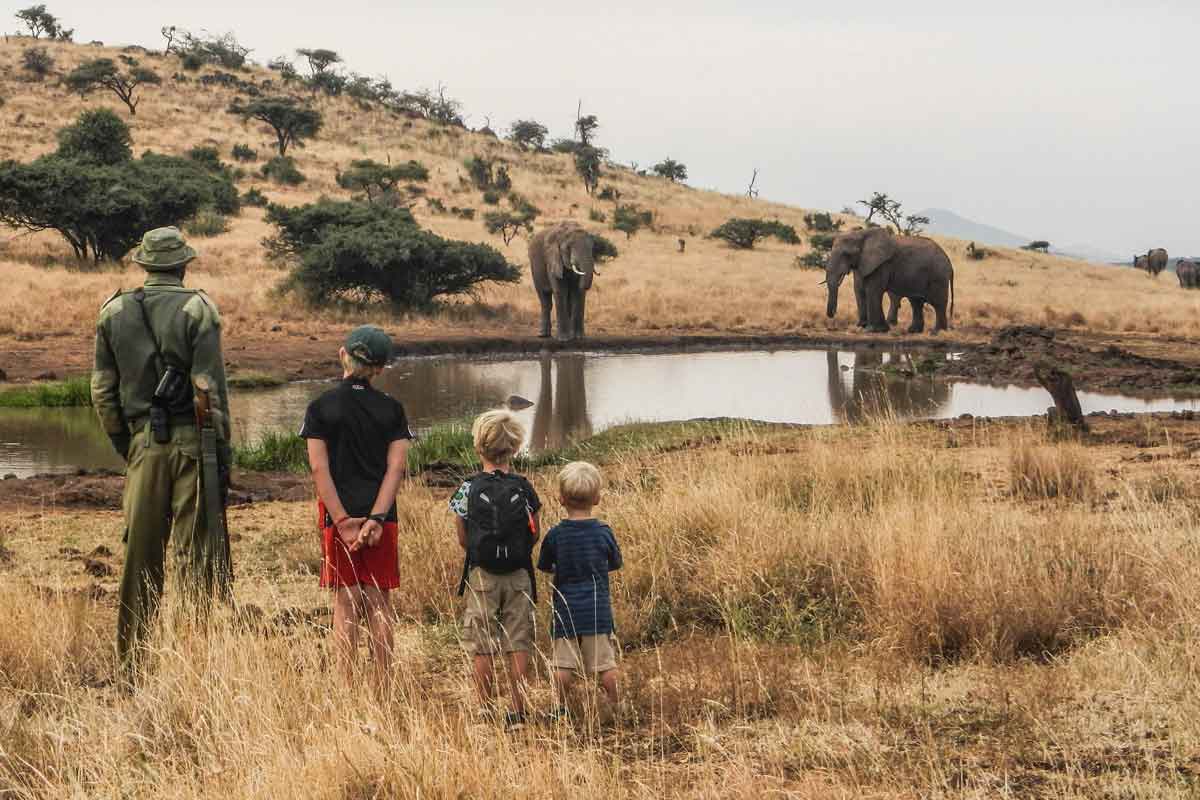 Kenya Conservation Safari-Lewa House