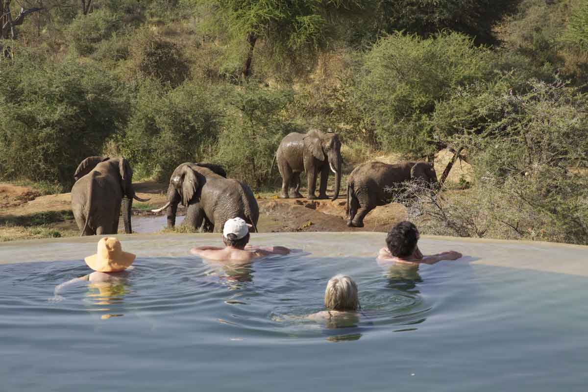 Kenya Conservation Safari-Sarara House