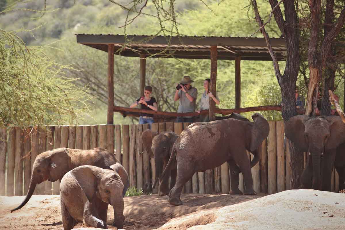 Kenya Conservation Safari-Sarara House