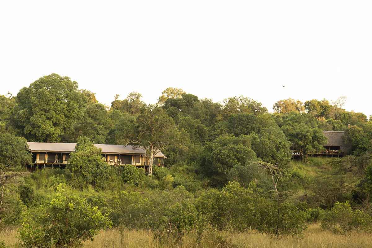 Kenya Conservation Safari-Serian Camp