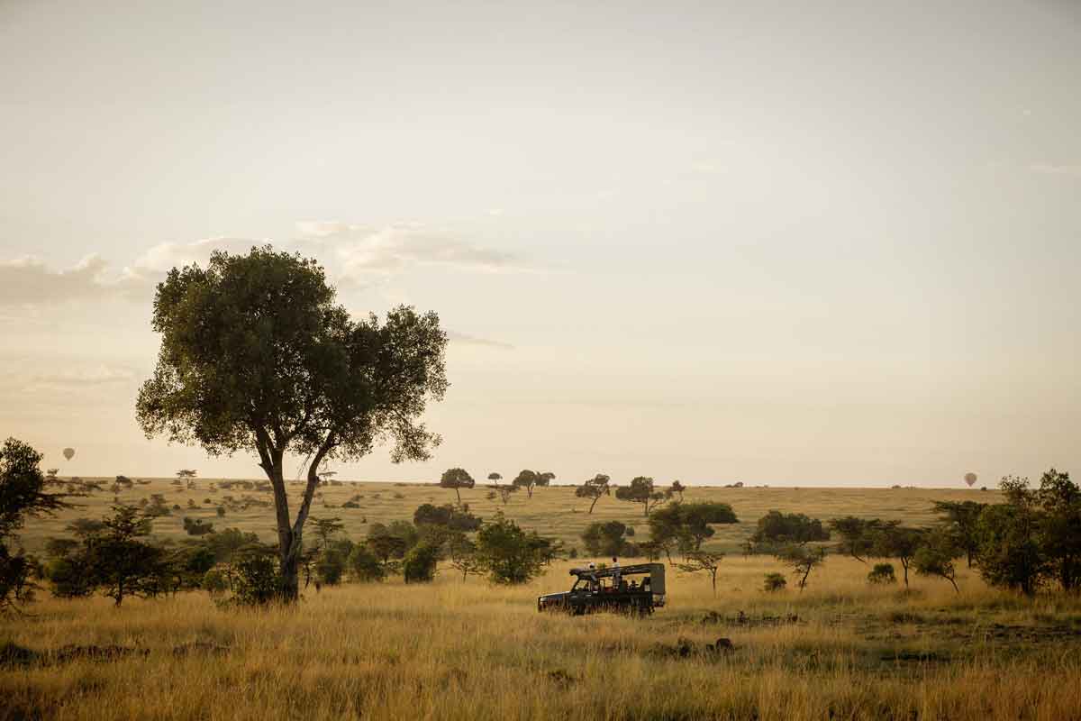 Kenya Conservation Safari-Serian Camp