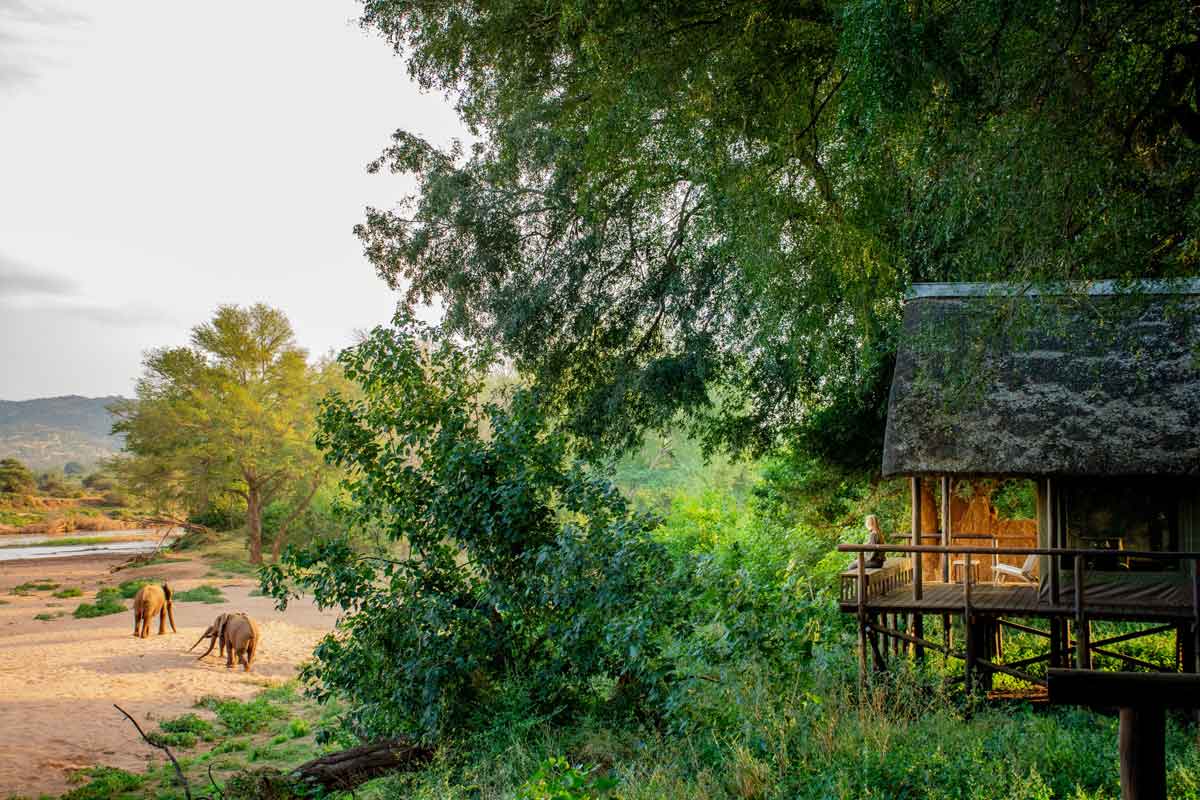 Top 15 Kruger Park Private Concessions Lodges