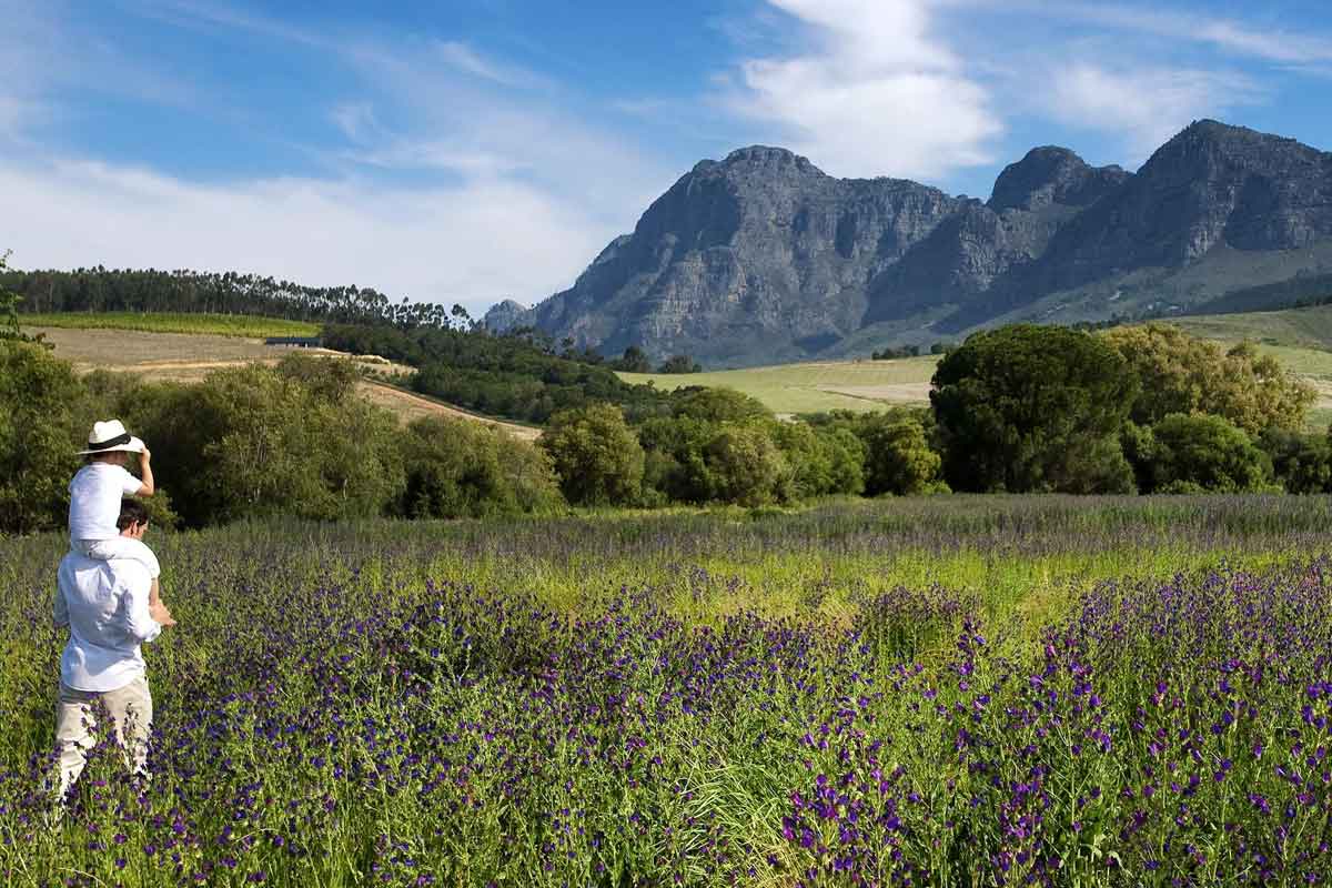 Babylonstoren Farm Hotel