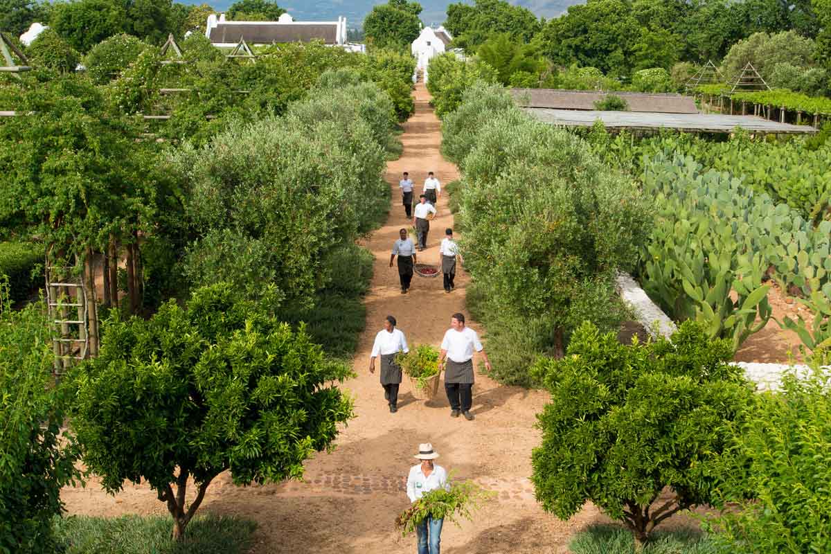 Babylonstoren Farm Hotel