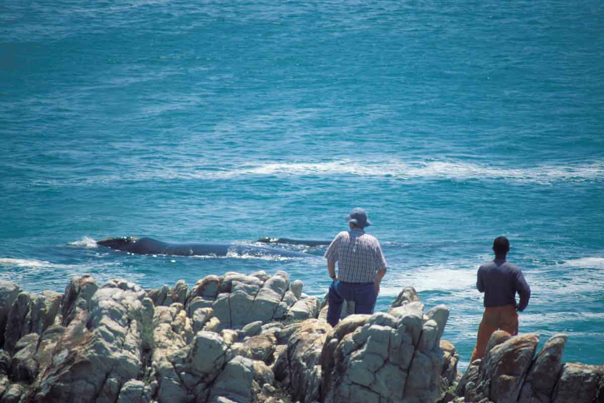 Grootbos Fynbos Lodge