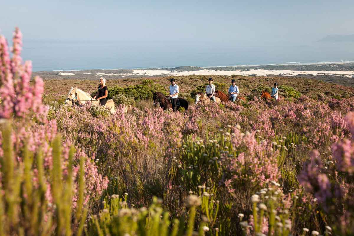 Grootbos Fynbos Lodge