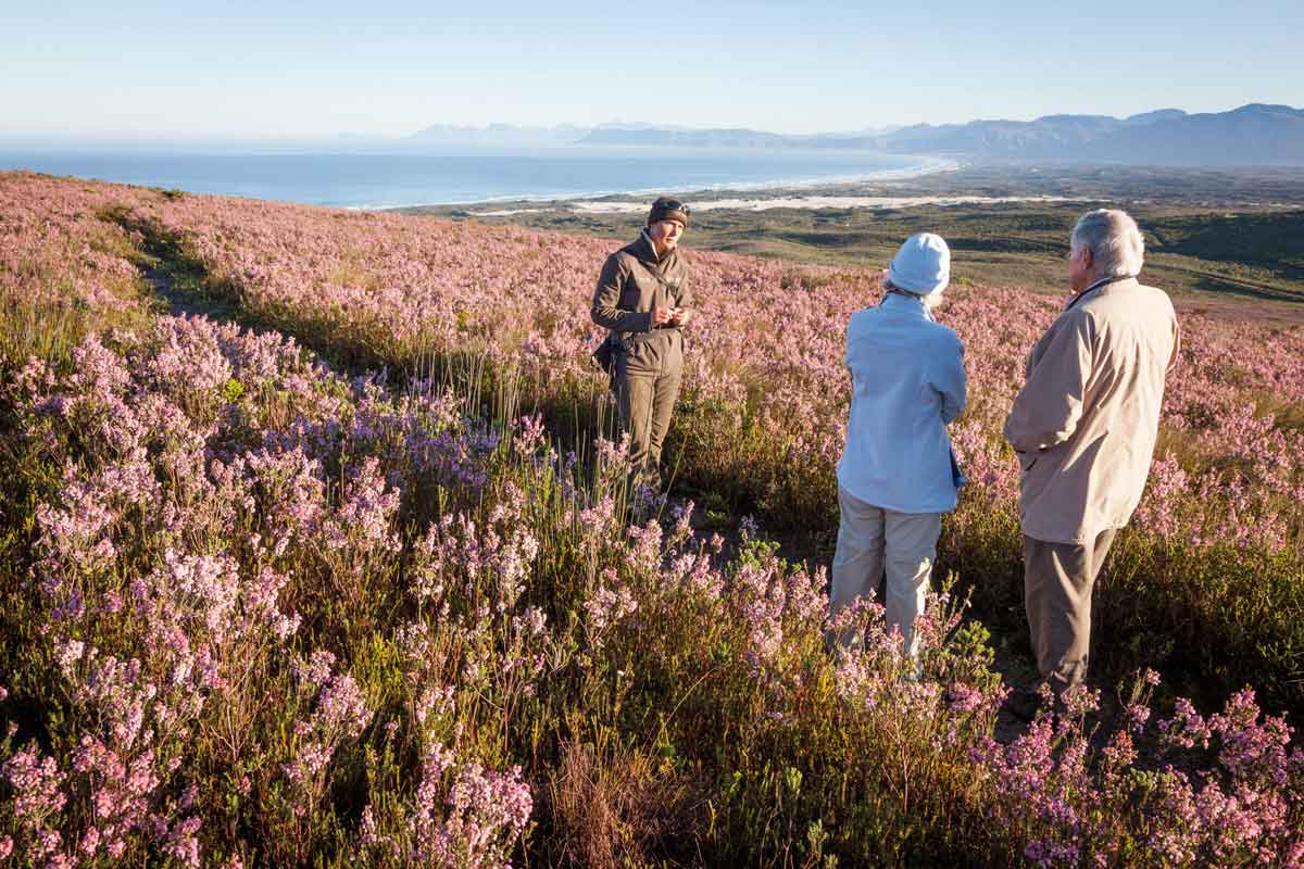 Grootbos Fynbos Lodge