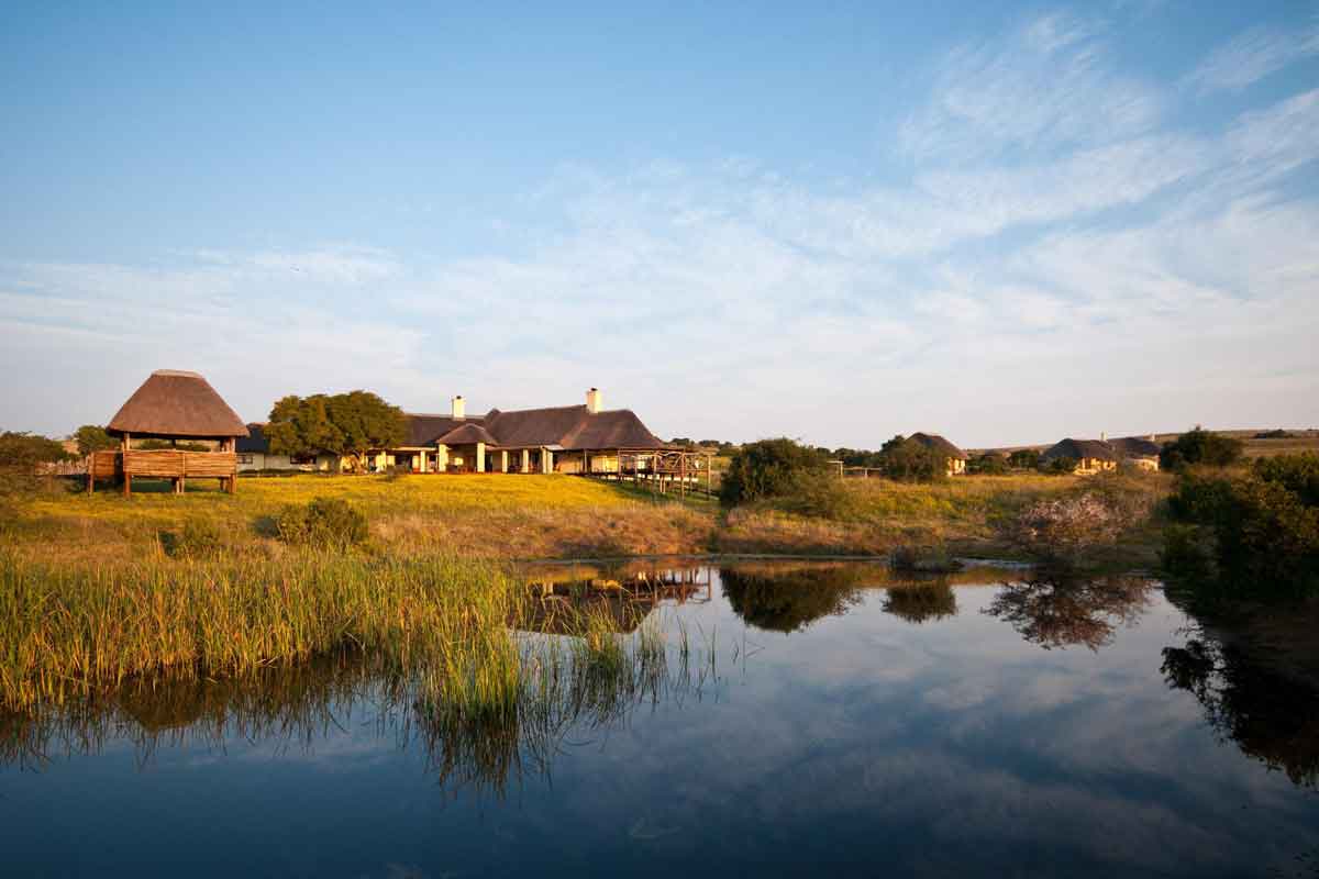 South Africa Self Drive Safari-AmaKhala Hlosi Game Lodge