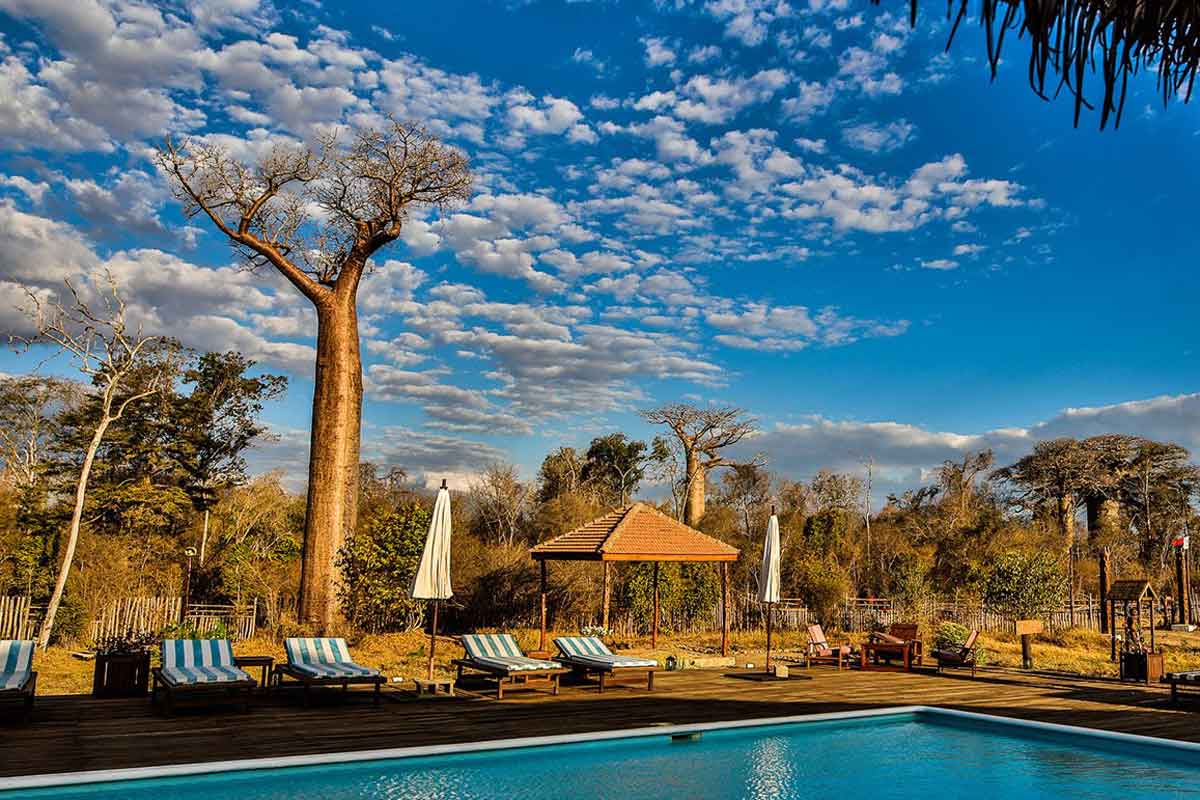 Highlights of Madagascar Safari
