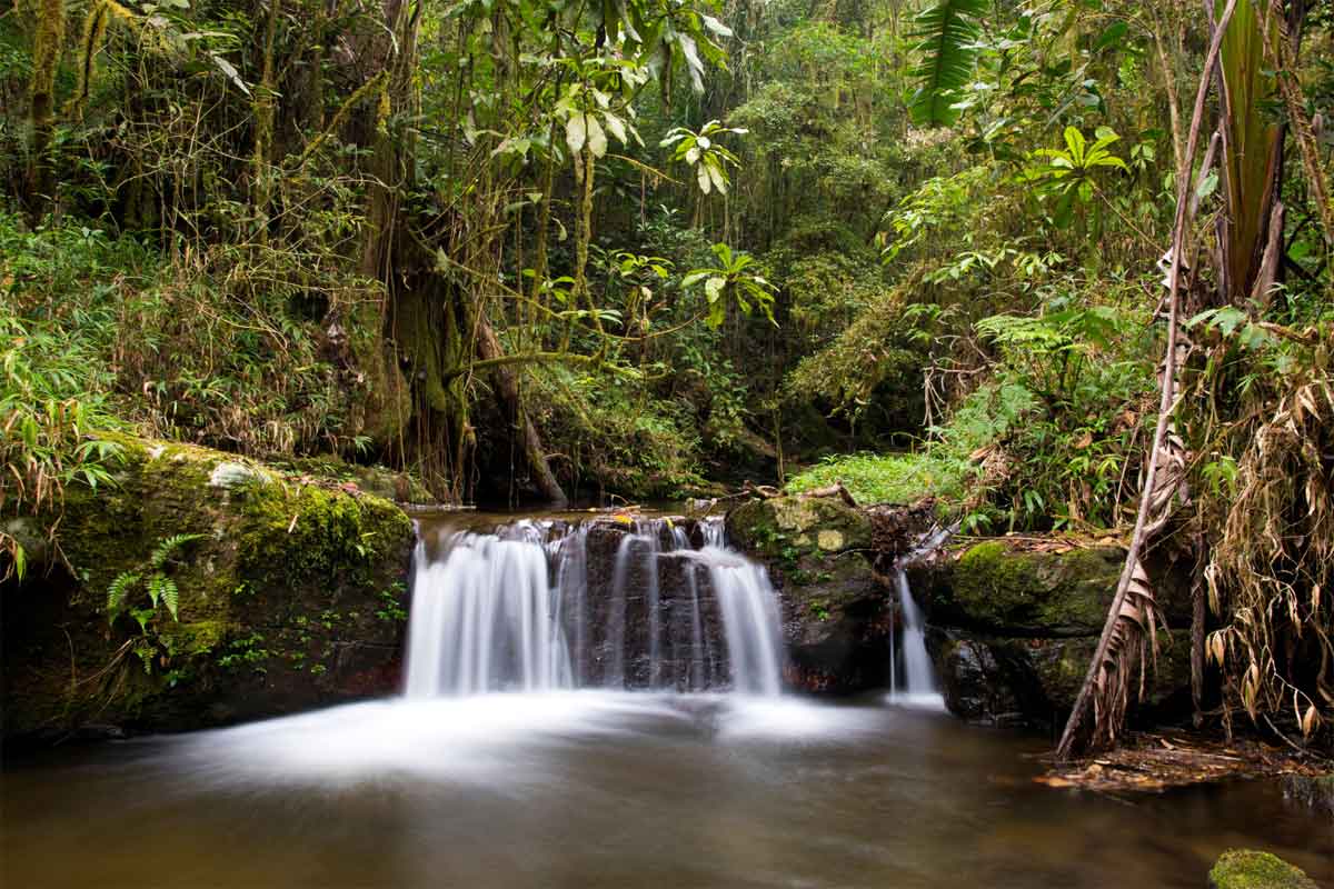 Highlights of Madagascar Safari