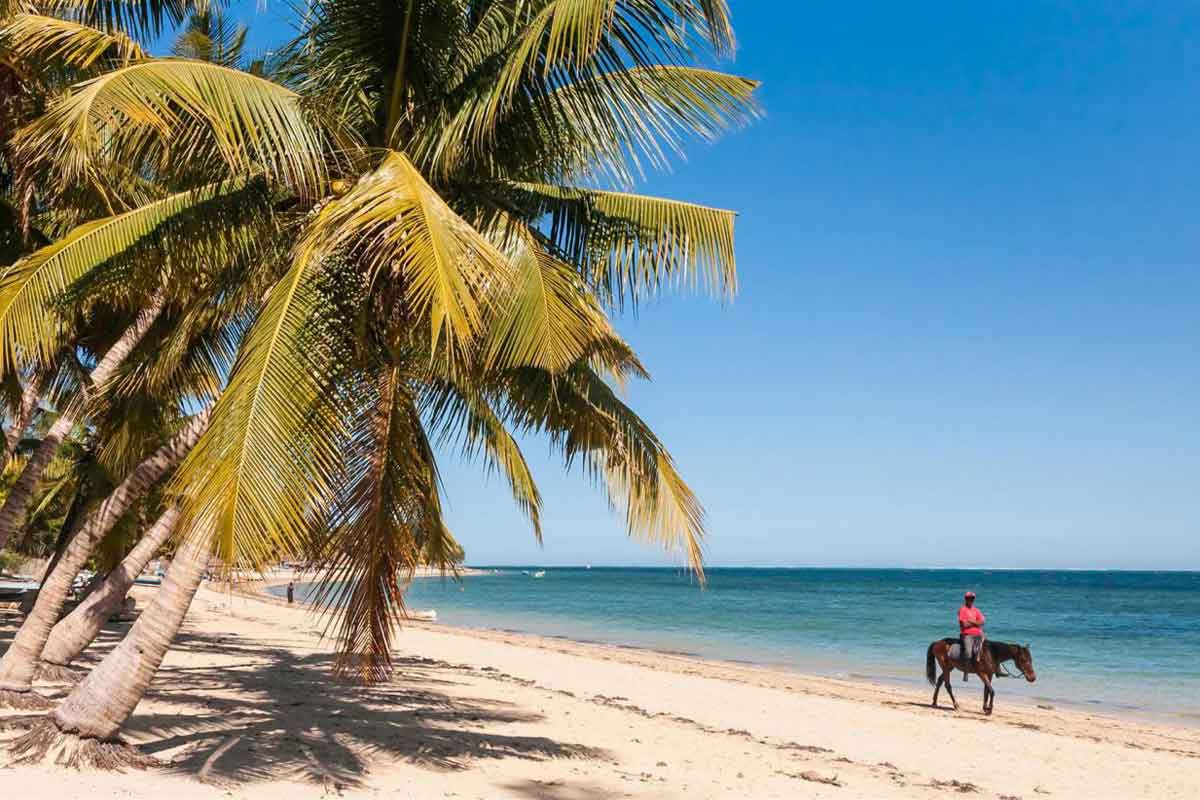 Highlights of Madagascar Safari