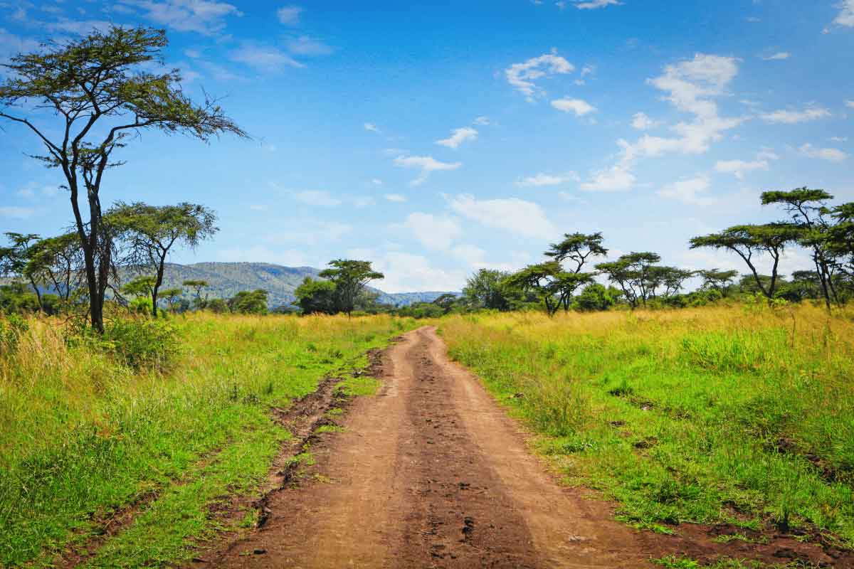 Rwanda Safari-Akagera National Park