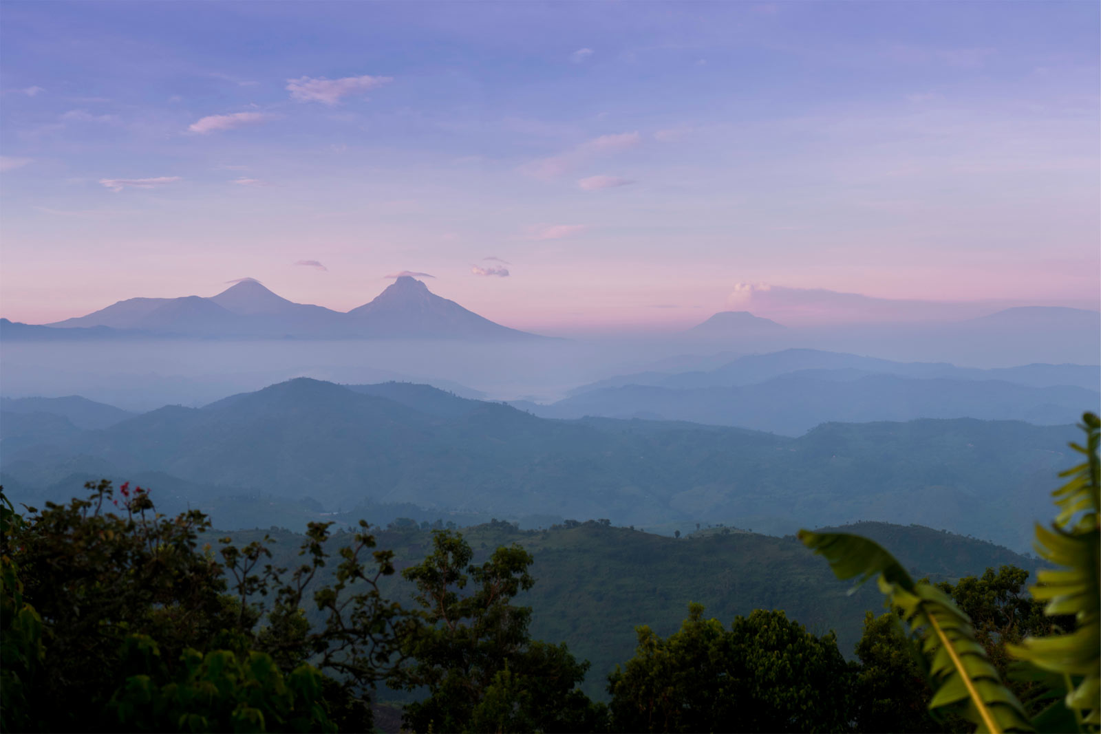 Rwanda Safari