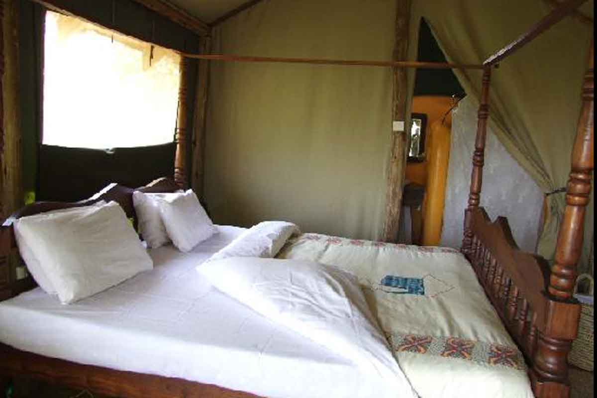 Scheduled Northern Tanzania Safari Kirurumu Manyara Lodge
