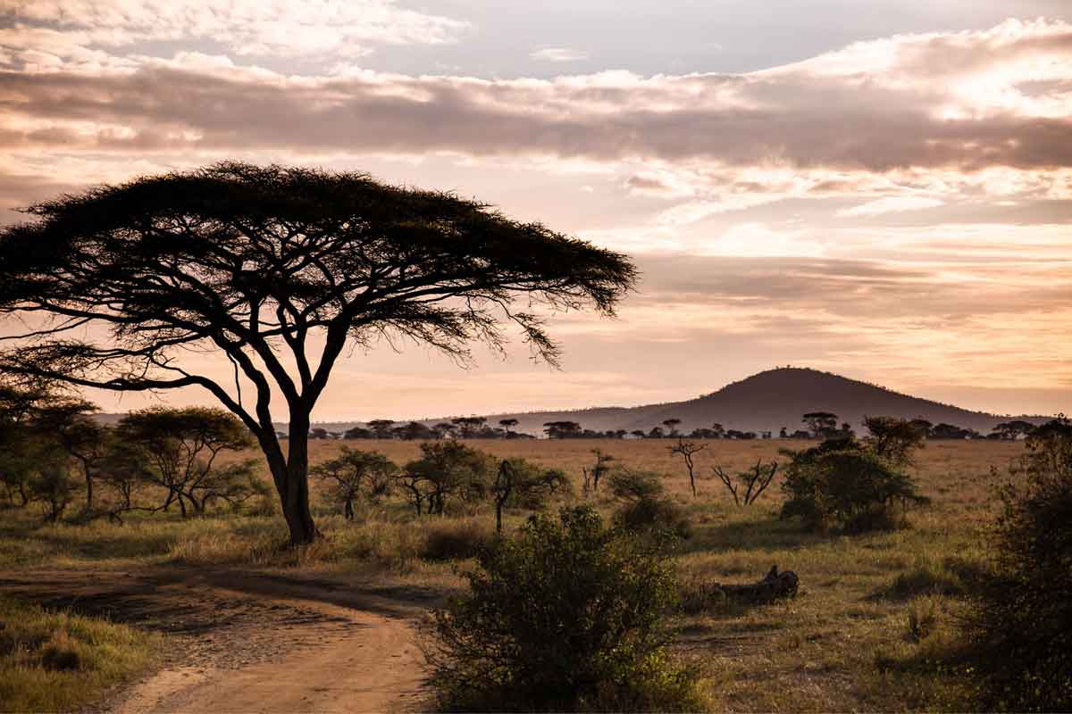 Scheduled Northern Tanzania Safari-Serengeti Kati Kati Camp