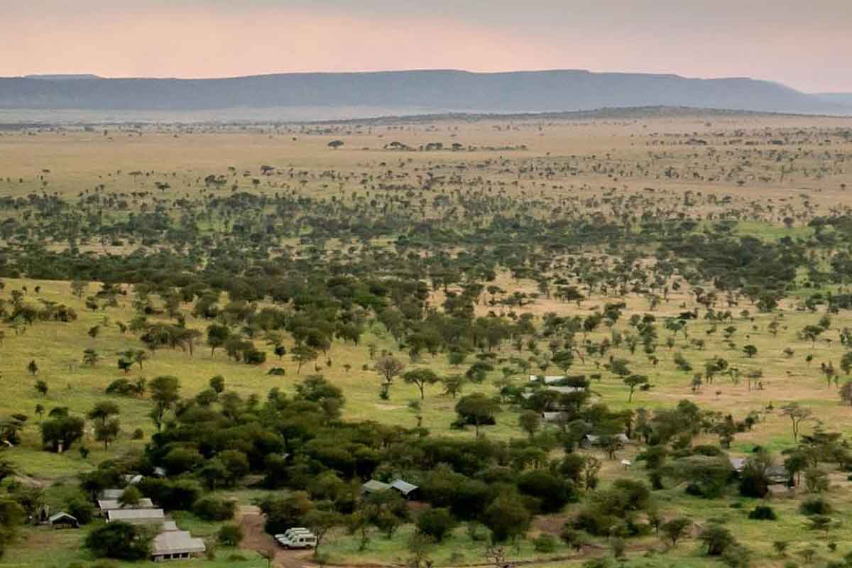 Scheduled Northern Tanzania Safari-Serengeti Kati Kati Camp