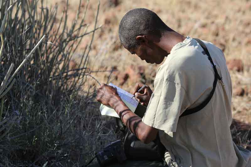 Gondwana Namibia Self-Drive Tour-Palmwag Lodge