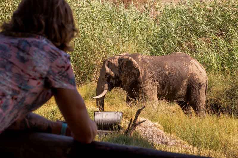 Gondwana Namibia Self-Drive Tour-Palmwag Lodge