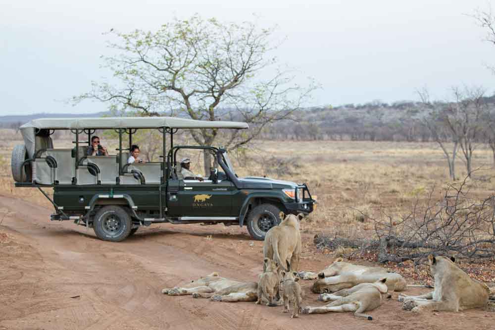 Luxury Namibia Self Drive Safari Anderssons at Ongava