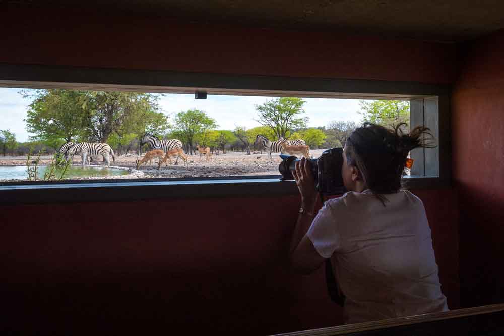 Luxury Namibia Self Drive Safari Anderssons at Ongava