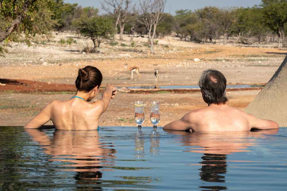 Luxury Namibia Self Drive Safari Anderssons at Ongava