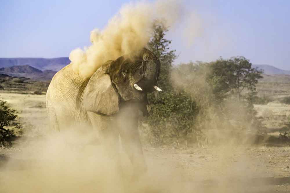 Luxury Namibia Self Drive Safari Onduli Ridge 