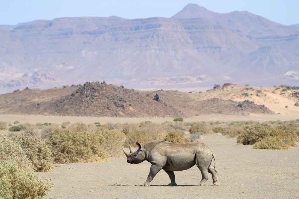 Luxury Namibia Self Drive Safari Onduli Ridge 