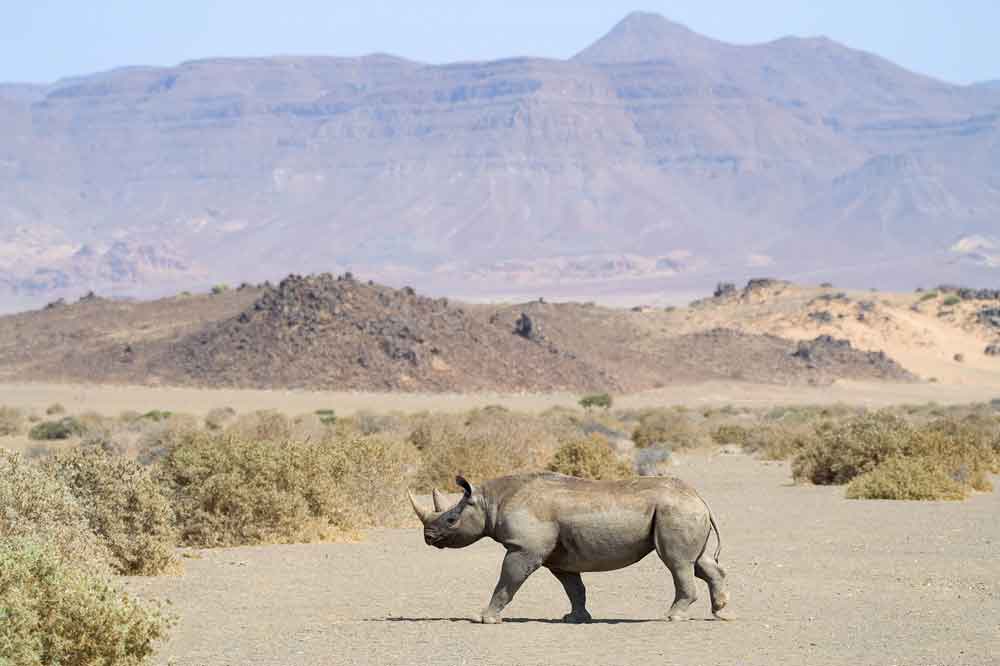 Luxury Namibia Self Drive Safari Onduli Ridge