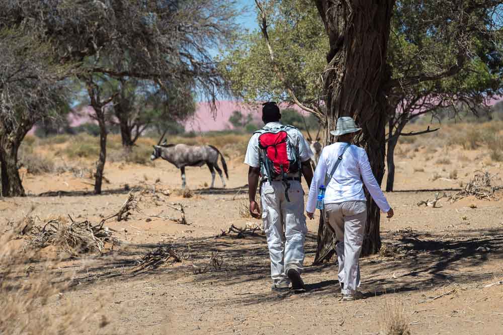 Luxury Namibia Self Drive Safari Little Kulalav