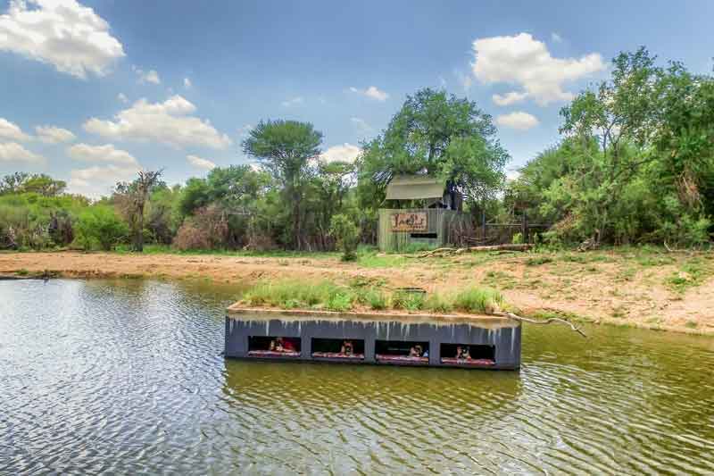 Top 10 Photographic Hides in Africa - Jacis Lodges (1)