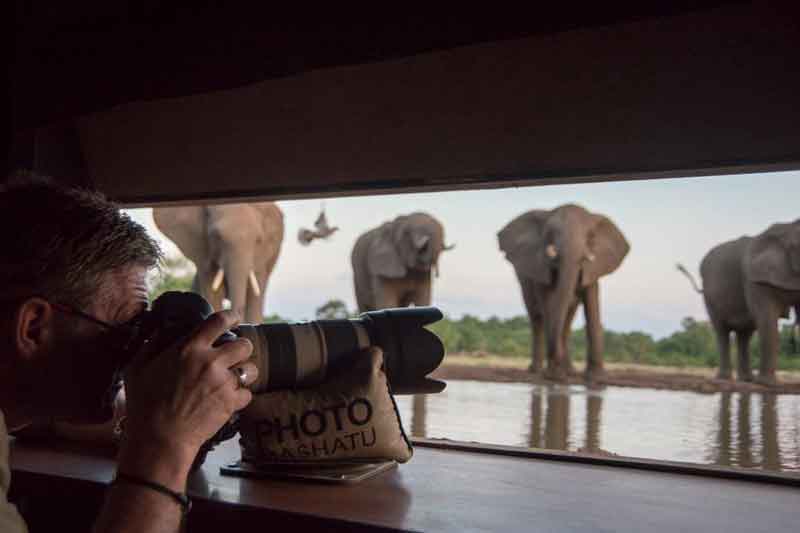 Top 10 Photographic Hides in Africa - Mashatu