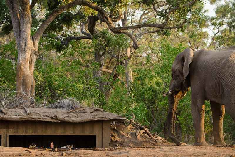 Top 10 Photographic Hides in Africa - Mashatu