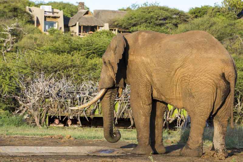 Top 10 Photographic Hides in Africa- Ol Donyo Lodge Kenya