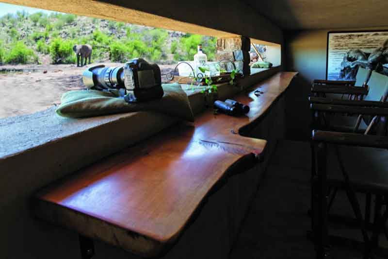 Top 10 Photographic Hides in Africa - Tuningi Safari Lodge