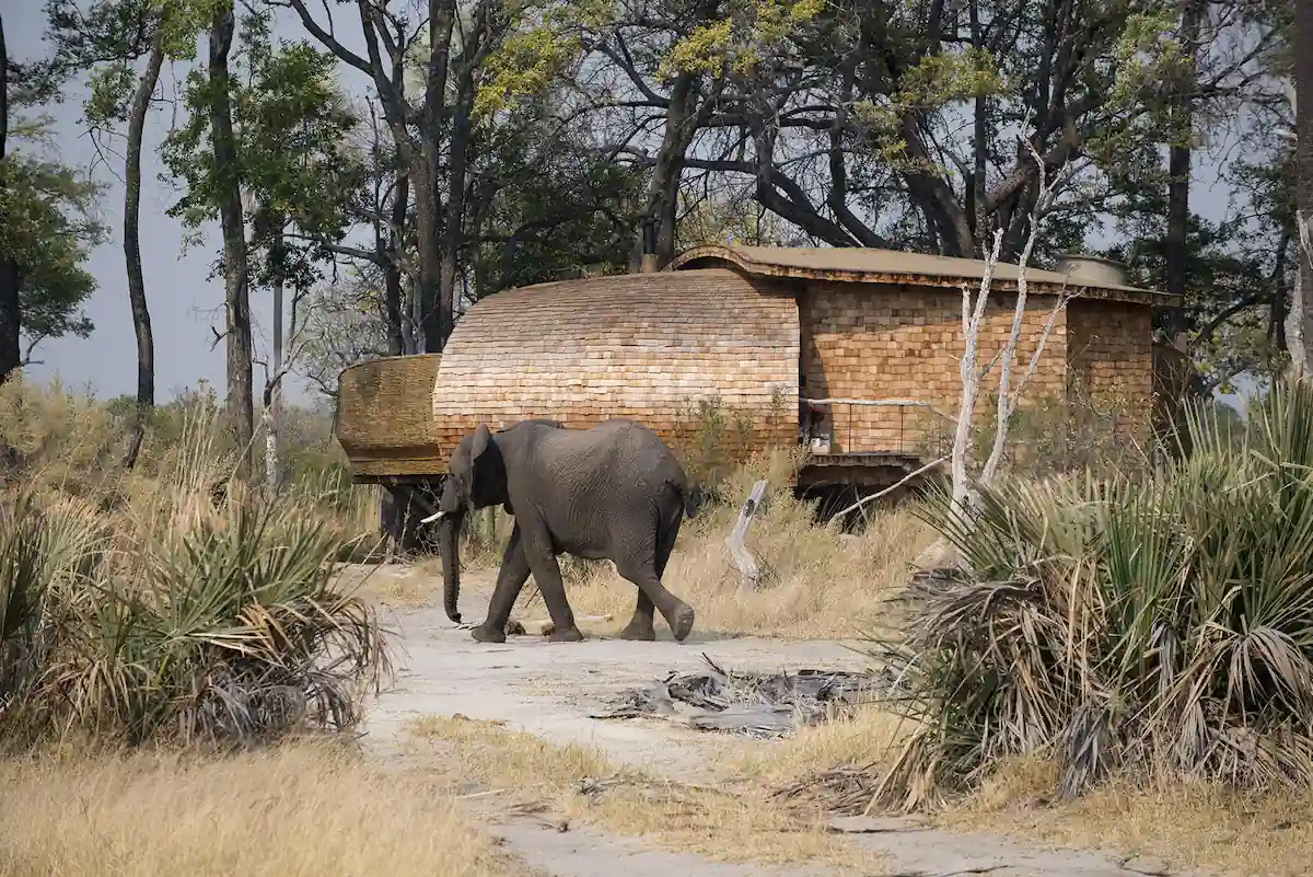 andBeyond Fly Me around Botswana