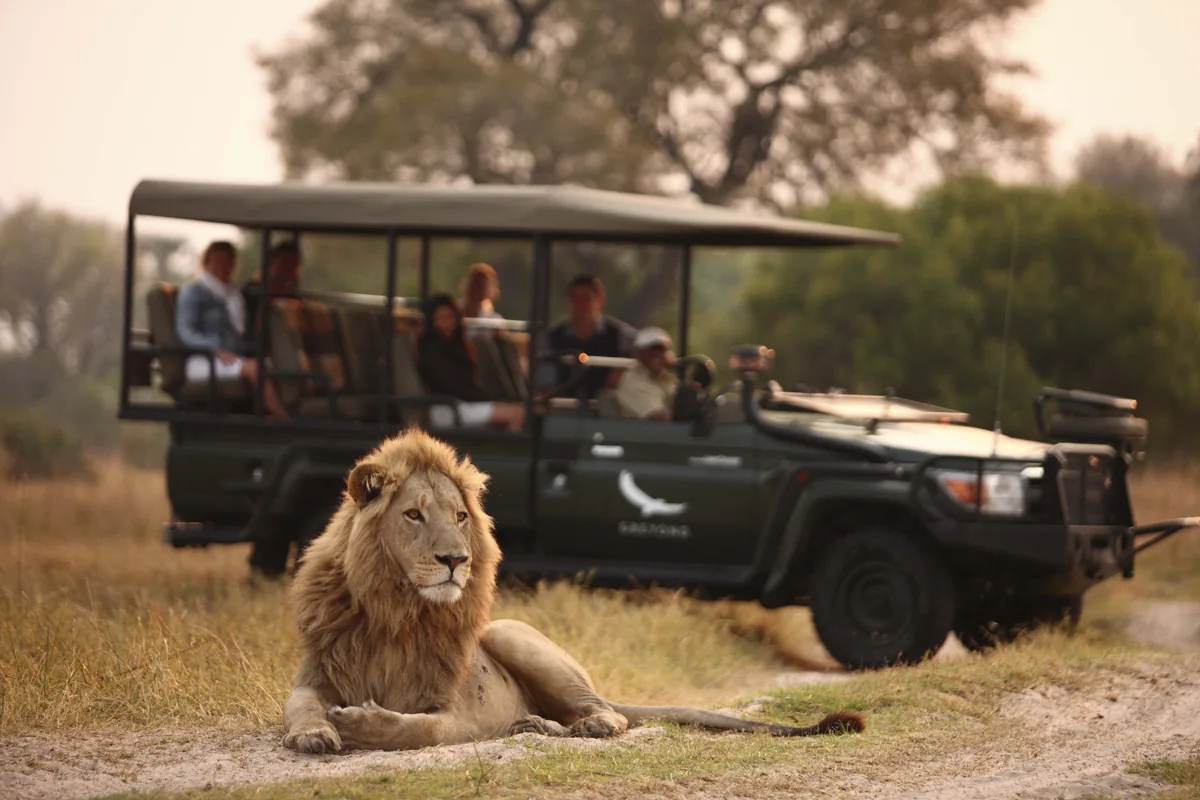 andBeyond Sandibe Okavango Safari Lodge