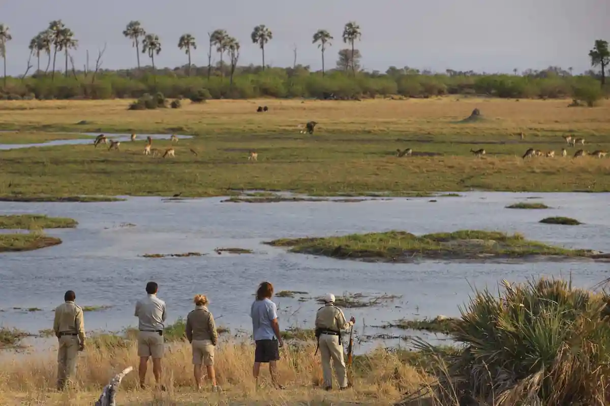 andBeyond Sandibe Okavango Safari Lodge