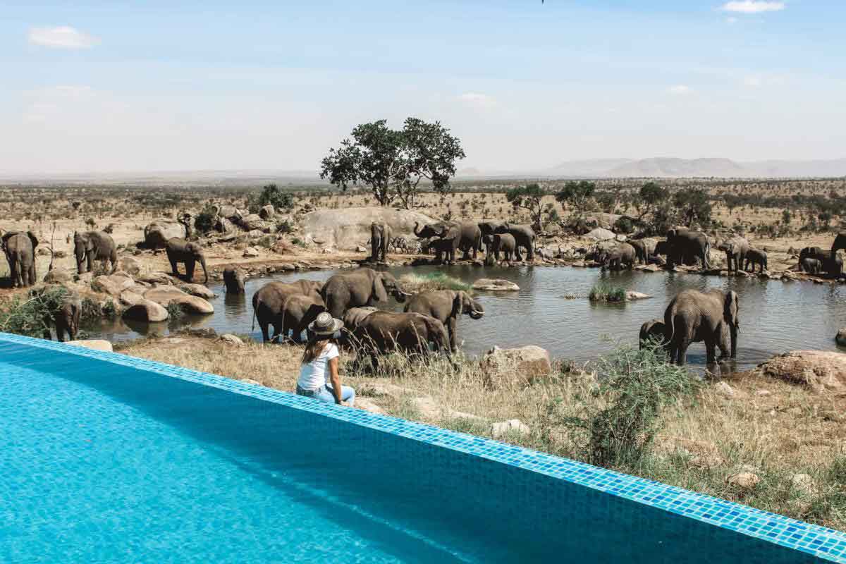 Explore and Travel Africa Tanzania Safaris