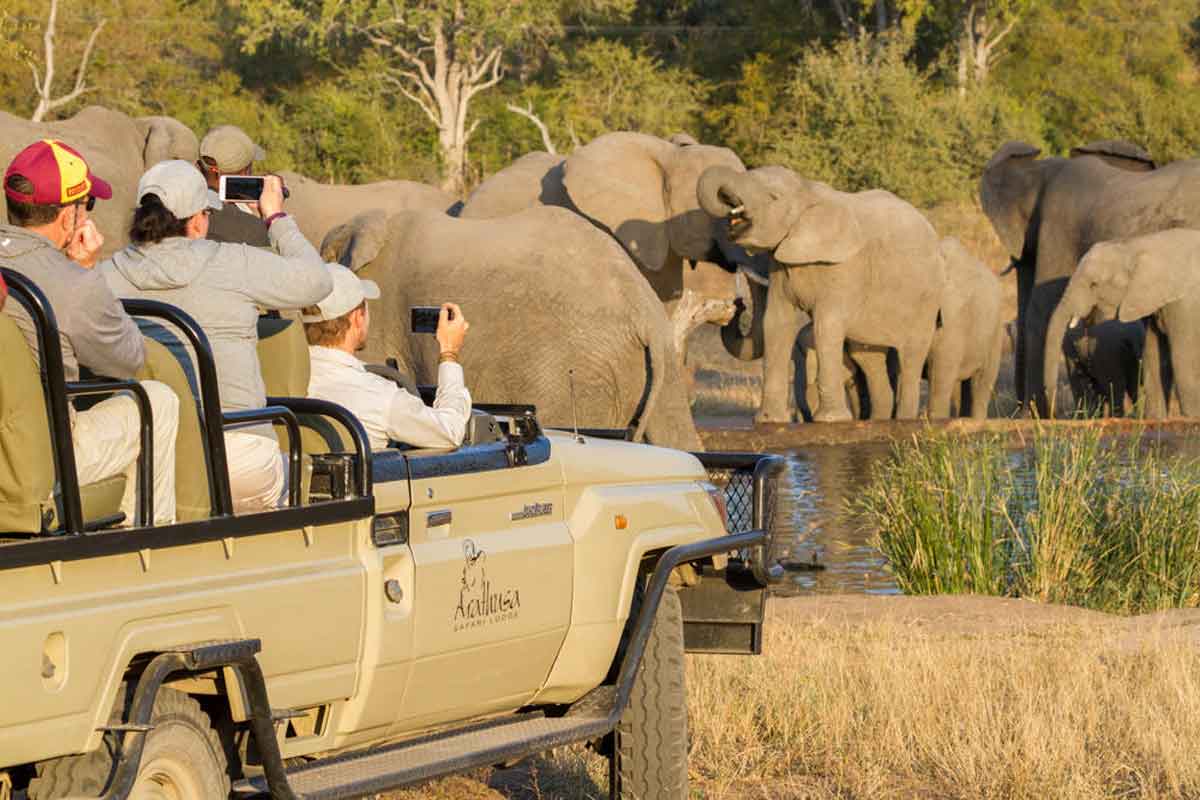 Kambaku & Arathusa Safari-Arathusa Safari Lodge