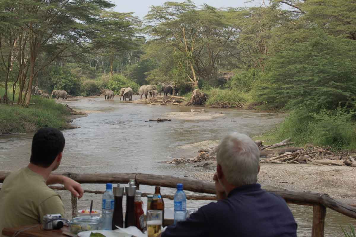 Classic Uganda-Ishasha Wilderness Camp