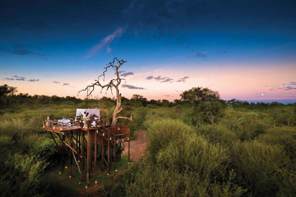 Lion Sands Safari Chalkey Treehouse