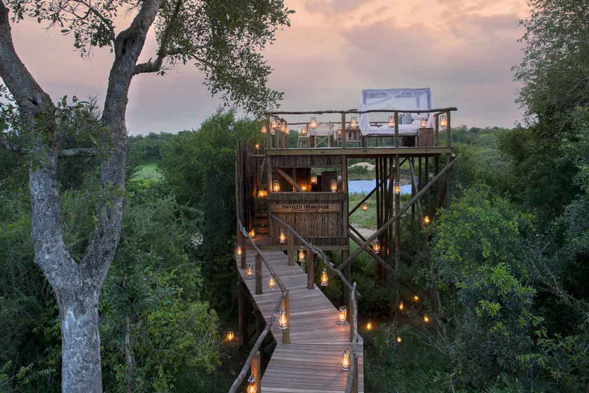 Lion Sands Safari Tinyeleti Treehouse